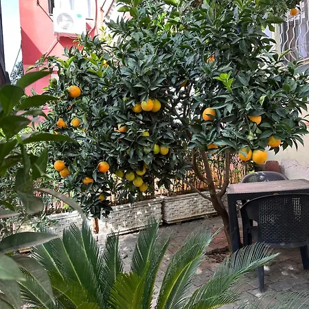 아파트 Comfort&cozy Near Airport & Bus Terminal 티라나